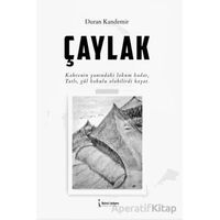 Çaylak - Duran Kandemir - İkinci Adam Yayınları