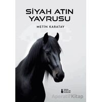 Siyah Atın Yavrusu - Metin Karatay - Sokak Kitapları Yayınları