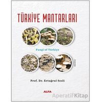 Türkiye Mantarları - Ertuğrul Sesli - Alfa Yayınları