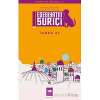 Edebiyatın Suriçi - Taner Ay - Ötüken Neşriyat