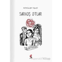 Sarhoş Otlar - Nurullah Yalav - Klaros Yayınları