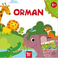 Yapboz Poster Kitap Orman - Kolektif - Türkiye Diyanet Vakfı Yayınları