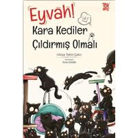 Eyvah Kara Kediler Çıldırmış Olmalı - Hülya Tekin Çakır - Türkiye Diyanet Vakfı Yayınları