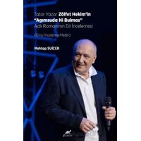 Tatar Yazar Zölfet Hekim’in “Agımsuda Ni Bulmas” Adlı Romanının Dil İncelemesi
