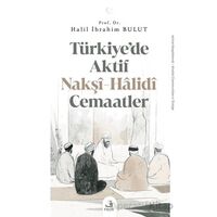 Tu¨rkiye’de Aktif Nakşî-Hâlidî Cemaatler - Halil İbrahim Bulut - Fecr Yayınları