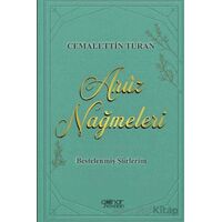 Arûz Nağmeleri - Cemalettin Turan - Gülnar Yayınları