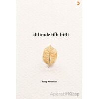 Dilimde Tüh Bitti - Recep Karaaslan - Cinius Yayınları