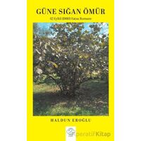 Güne Sığan Ömür - Haldun Eroğlu - Post Yayınevi