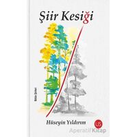 Şiir Kesiği - Hüseyin Yıldırım - US Yayınları
