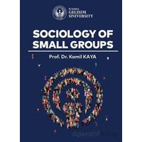 Sociology of Small Groups - Kamil Kaya - İstanbul Gelişim Üniversitesi Yayınları