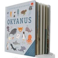 Say Bul Eğlen Okyanus - Kollektif - Uçan Fil Yayınları