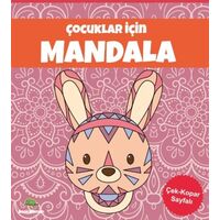 Çocuklar İçin Mandala-Pembe - Emre Aslan - Bookalemun Yayınevi
