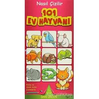 Nasıl Çizilir - 101 Ev Hayvanı - Dan Green - Kuzey Yayınları