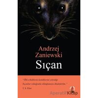 Sıçan - Andrzej Zaniewski - Çoban Yayınları