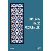 Günümüz Hadis Problemleri - Yavuz Köktaş - Rağbet Yayınları