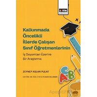 Kalkınmada Öncelikli İllerde Çalışan Sınıf Öğretmenlerinin İş Doyumları Üzerine Bir Araştırma