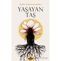 Yaşayan Taş - Birgül Yangın Aslanoğlu - Hece Yayınları