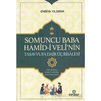 Somoncu Baba Hamid-i Velinin Tasavvufa Dair Üç Risalesi - Enbiya Yıldırım - Ensar Neşriyat