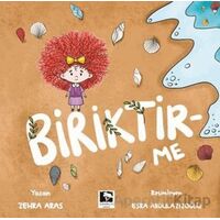 Biriktir-Me - Zehra Aras - Çınaraltı Yayınları
