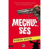 Meçhul Ses - Osman Şahin - Çınaraltı Yayınları