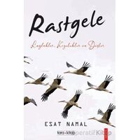 Rastgele; Leylekler, Kozalaklar ve Düşler - Esat Namal - Tara Kitap
