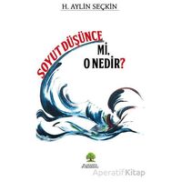 Soyut Düşünce mi, O Nedir? - H. Aylin Seçkin - Platanus Publishing