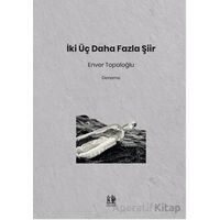 İki Üç Daha Fazla Şiir - Enver Topaloğlu - Pikaresk Yayınevi