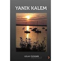 Yanık Kalem - Gülay Özdemir - Cinius Yayınları