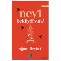 Neyi Bekliyorsun? - Sinan Özyurt - Temmuz Yayınları