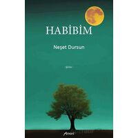 Habibim - Neşet Dursun - Armoni Yayıncılık