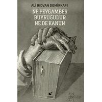 Ne Peygamber Buyruğudur Ne De Kanun - Ali Rıdvan Demirkapı - Öteki Yayınevi