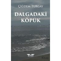 Dalgadaki Köpük - Çiğdem Turgay - Perseus