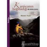 Karıncanın Boğmadığı Chiviyazıları Yayınevi