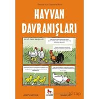 Hayvan Davranışları - Gençler İçin Çizgilerle Bilim - Joseph Midthun - Almidilli