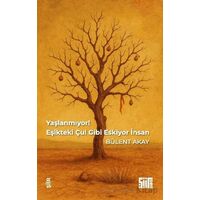 Yaşlanmıyor, Eşikteki Çul Gibi Eskiyor İnsan - Bülent Akay - Şiirden Yayıncılık