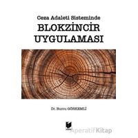 Ceza Adaleti Sisteminde Blokzincir Uygulaması - Burcu Görkemli - Adalet Yayınevi