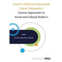 Sosyal ve Kültürel Çalışmalarda Güncel Yaklaşımlar I - Tutku Akter Gökaşan - Gece Kitaplığı