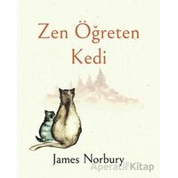 Zen Öğreten Kedi - James Norbury - Epsilon Yayınevi
