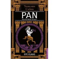 Pan Bize Ne Mesaj Veriyor? - Efe Elmas - Destek Yayınları
