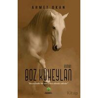 Boz Küheylan - Ahmet Okan - Platanus Publishing