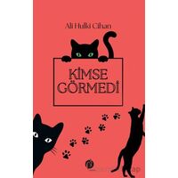 Kimse Görmedi - Ali Hulki Cihan - Herdem Kitap