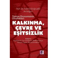 Türkiye Ekonomisinin Dinamikleri: Kalkınma, Çevre ve Eşitsizlik - Kolektif - Efil Yayınevi