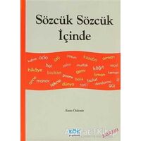 Sözcük Sözcük İçinde - Kolektif - Kök Yayıncılık