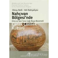 Nahçıvan Bölgesinde Orta ve Son Tunç Çağı Boya Bezemeli Çanak Çömlek Kültürü