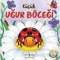 Küçük Uğur Böceği - Wednesday Jones - İş Bankası Kültür Yayınları