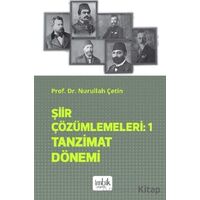 Şiir Çözümlemeleri 1 - Tanzimat Dönemi - Nurullah Çetin - İmbik Yayınları