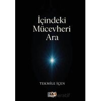 İçindeki Mücevheri Ara - Tekmile İçen - Tilki Kitap
