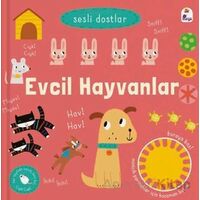 Sesli Dostlar – Evcil Hayvanlar (Sesli Kitap) - Kolektif - İndigo Çocuk