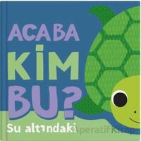 Acaba Kim Bu? – Su Altındaki - Luke Robertson - İndigo Çocuk
