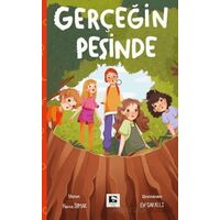 Gerçeğin Peşinde - Havva İrmak - Çınaraltı Yayınları
